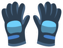 Gloves